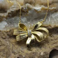 مدال پاپیون