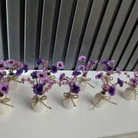 گل و گلدان|گل مصنوعی|اسلامشهر, زرافشان|دیوار