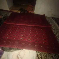 پشتی ترکمنی دست باف|پشتی|شیروان (خراسان), |دیوار