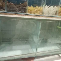 آکواریم دست ساز