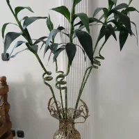 گل بامبو مصنوعی