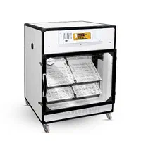 نماینده فروش دستگاه جوجه کشی اسکندری آستانه اشرفیه|لوازم جانبی حیوانات|آستانه اشرفیه, |دیوار