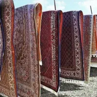 قالیشویی سنتی مارال|خدمات نظافت|قم, قلعه صدری|دیوار