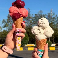 نیروی کار در بستنی فروشی