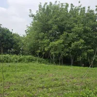 دو پلاک زمین ۲۸۲متری داخل بافت /قابل ساخت/کاسبی|فروش زمین و ملک کلنگی|لشت نشا, |دیوار