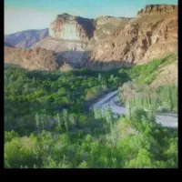 باغ فروشی. میوه .ویلایی. سند شش دانگ ملکی
