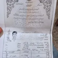 شناسنامه گمشده