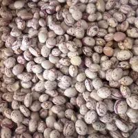 خشکبار ، برنج و چای ایرانی|خوردنی و آشامیدنی|تهران, مولوی|دیوار