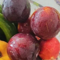 آلوی  شابلون اورگانیک  و بدون مواد شیمیایی کردان|خوردنی و آشامیدنی|تهران, جنت‌آباد مرکزی|دیوار