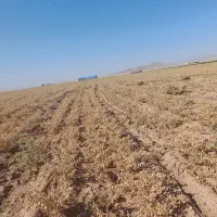 زمین اجاره می خوام