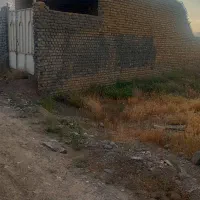 ملک-فروشی