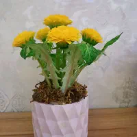 گلدان گل چینی|صنایع دستی و سایر لوازم تزئینی|رباط‌کریم, رباط‌کریم|دیوار