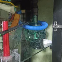 قلیون قلیان