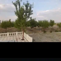 باغ هزار متری فول امکانات سیمین زاغه|فروش زمین و ملک کلنگی|بهار, |دیوار