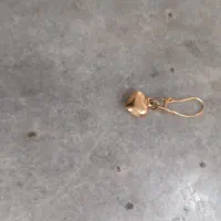 گمشده لنگه گوشواره بچگانه