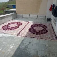 فرش ماشینی