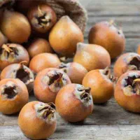 ازگیل جنگلی یا همون کندس