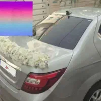 دنا پلاس اتومات آپشنال