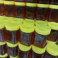 نمایندگی انحصاری عسل کندو مشکین شهردر استان بوشهر|خوردنی و آشامیدنی|بندر کنگان, |دیوار