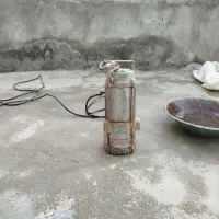 کفکش ۲اسب آلمانی