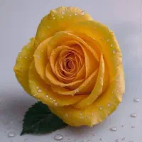 راهنمایی کسب و کار