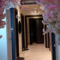 مهماندار خانم