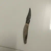 مفت مفت|بدلیجات|قائن, |دیوار