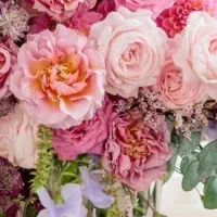 نیازمند رحم اجاره‌ای