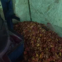 پوست انار با هسته خوراک دام