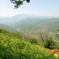 زمین۲۷۵متری،مسکونی تودارک تنکابن،باویو جنگل و دریا|فروش زمین و ملک کلنگی|دالخانی, |دیوار