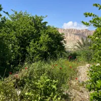 فروش-زمین-شهرک-صفا