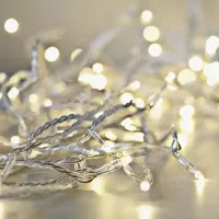 ریسه سوزنی و ستاره ای