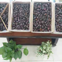 جذب نیروی کار