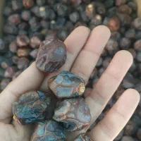 خرما آلویی