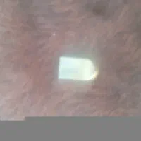 فلش ۱۶ و ۳۲و ۸و۴