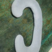 بالش بارداری