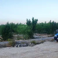 باغچه فروشی