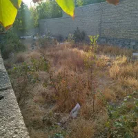 زمین ۲۰۰ متر واقع در کوشکوزر