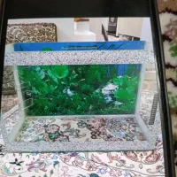 آکواریوم۴۰در۶۰ سالم وجای دون وآب دونی