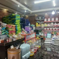 فیدار گربه بالغ