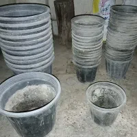 گلدان همراه با خاک درجه یک
