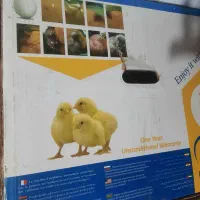 ماشین جوجه کشی ایزی باتور2نودوشش عددی|حیوانات مزرعه|خاش, |دیوار