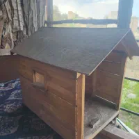 لانه برای انواع حیوانات