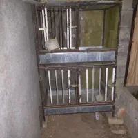 قفس پرنده