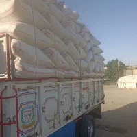 فروش‌کاه‌گندم‌دیم نرم‌نرم‌بشرط
