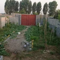 فروش یک قطعه زمین در مشهدی کلا|فروش زمین و ملک کلنگی|امیرکلا, |دیوار