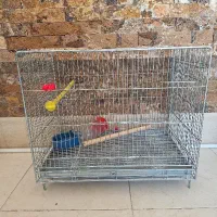 قفس حرفه ای