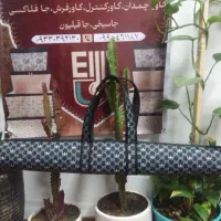 جاسیخ کباب