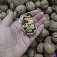 گردو سرحد تازه کاملا طبیعی