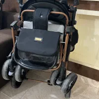 کالسکه دلیجان  درحد|کالسکه و لوازم جانبی|بندرعباس, |دیوار